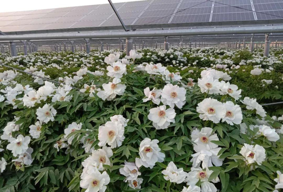 微信图片_20210818171418 微信图片_20210818171418