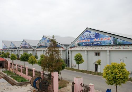 公司在崇明岛建成、并网中国东部首个兆瓦级光伏电站