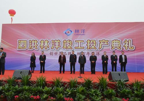 泗洪尊龙凯时光伏科技有限公司竣工投产